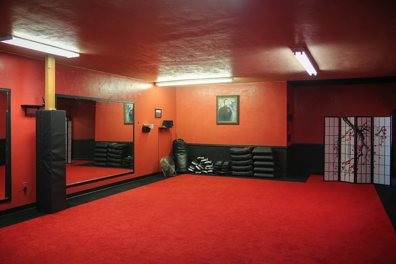 empty dojo mirror portraits